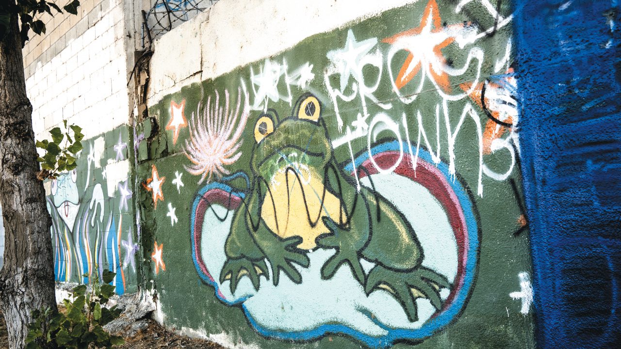 Could Frogtown Be East L.A.’s Coolest Neighborhood?