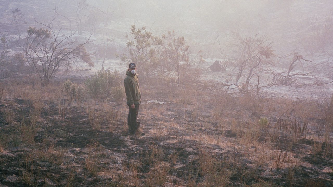 The Surfers Who Fought the Woolsey Fire