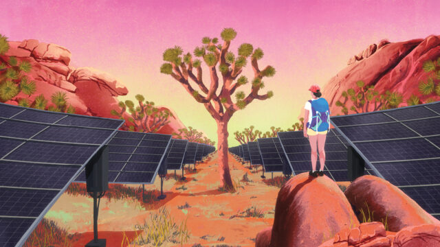 Joshua Tree illustration.