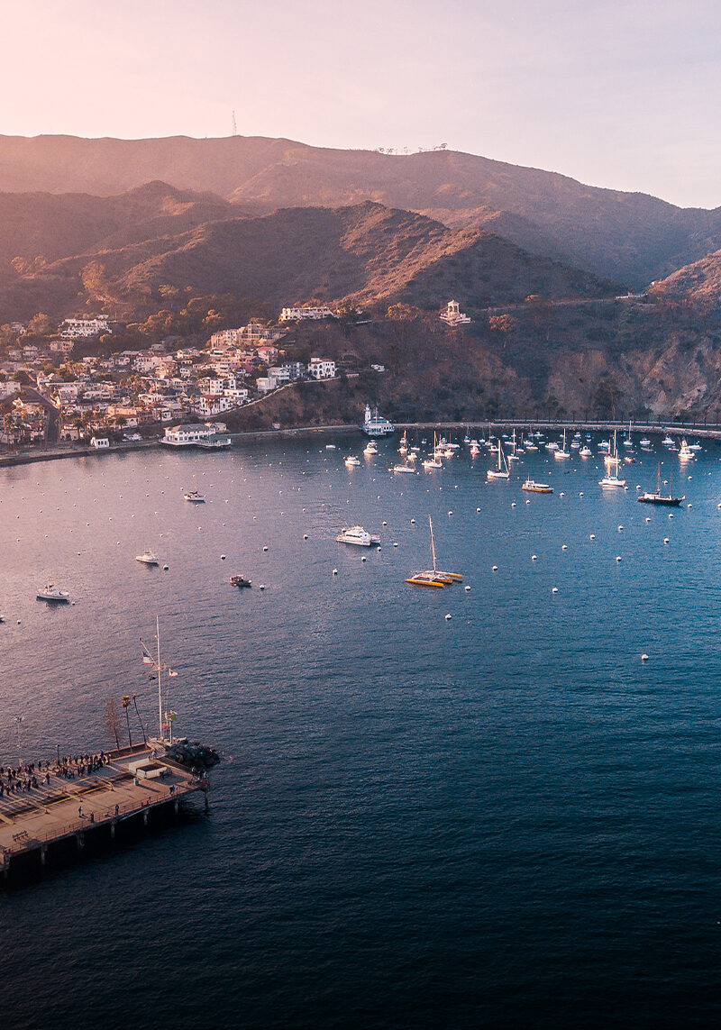 Catalina’s Autumnal Allure