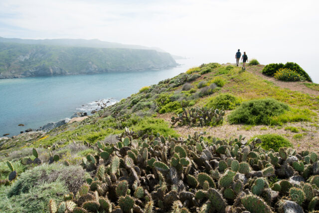 Catalina Island