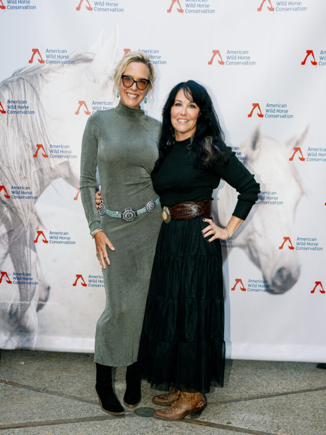 American Wild Horse Conservation benefit