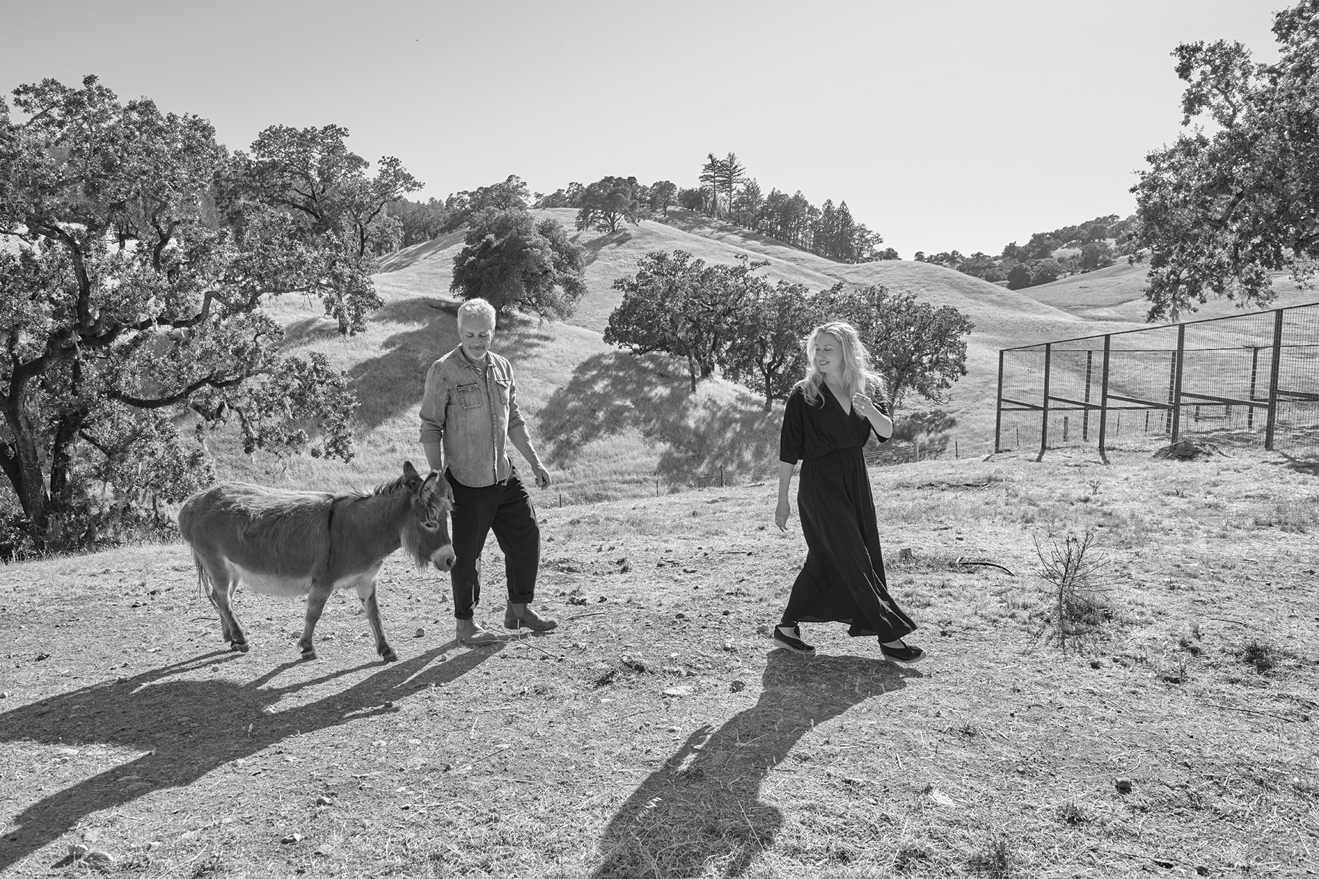 Ghost Donkey Ranch