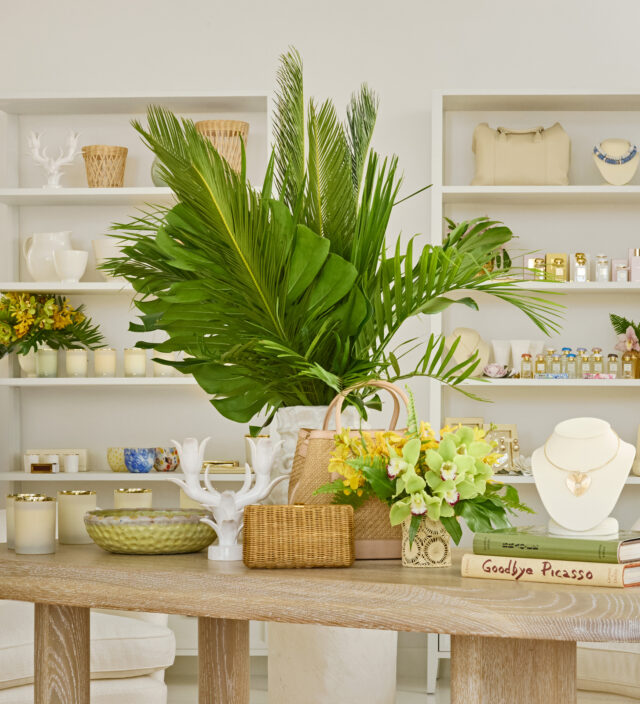 Aerin Lauder new boutique