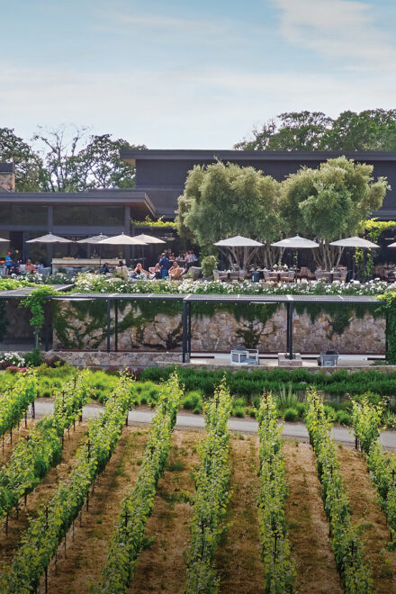 Cutting-Edge Wellness Hacks in NorCal