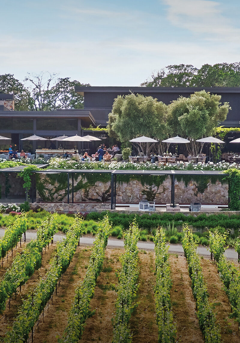 Cutting-Edge Wellness Hacks in NorCal