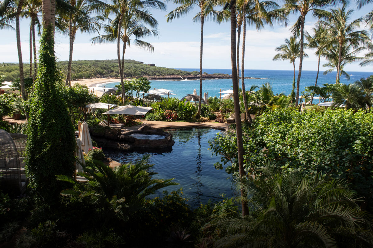 Paradise Found in the Pacific