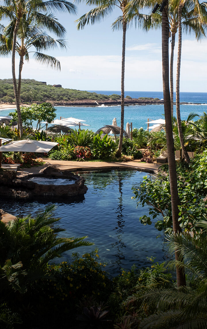 Paradise Found in the Pacific