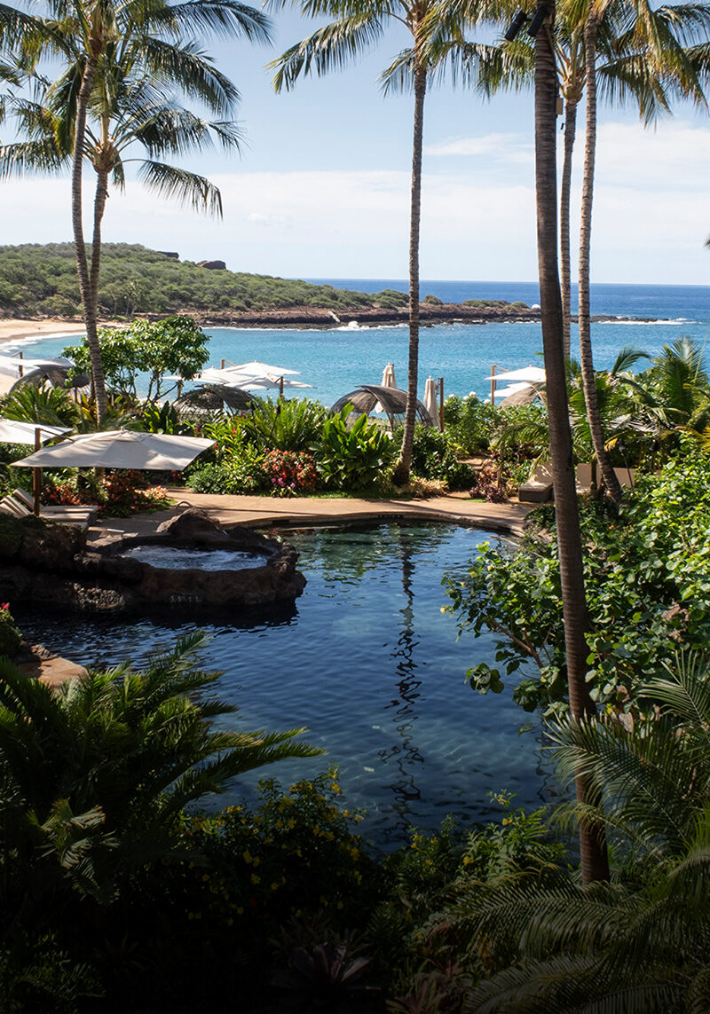 Paradise Found in the Pacific