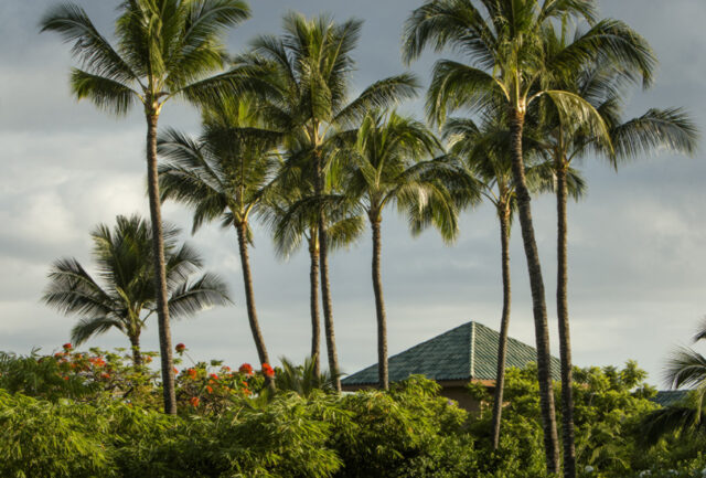 Four Seasons Lana’i 