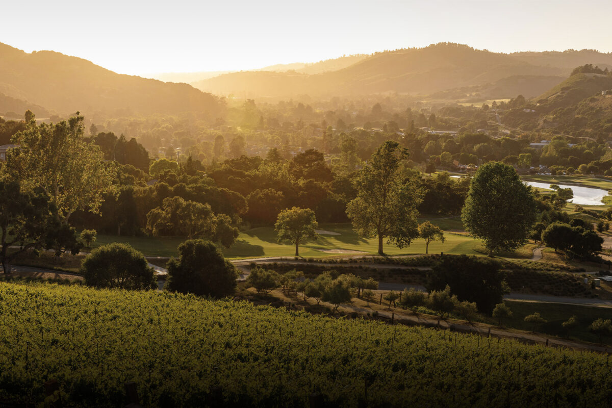 The Richest Rewards Are Made By Hand in Carmel Valley