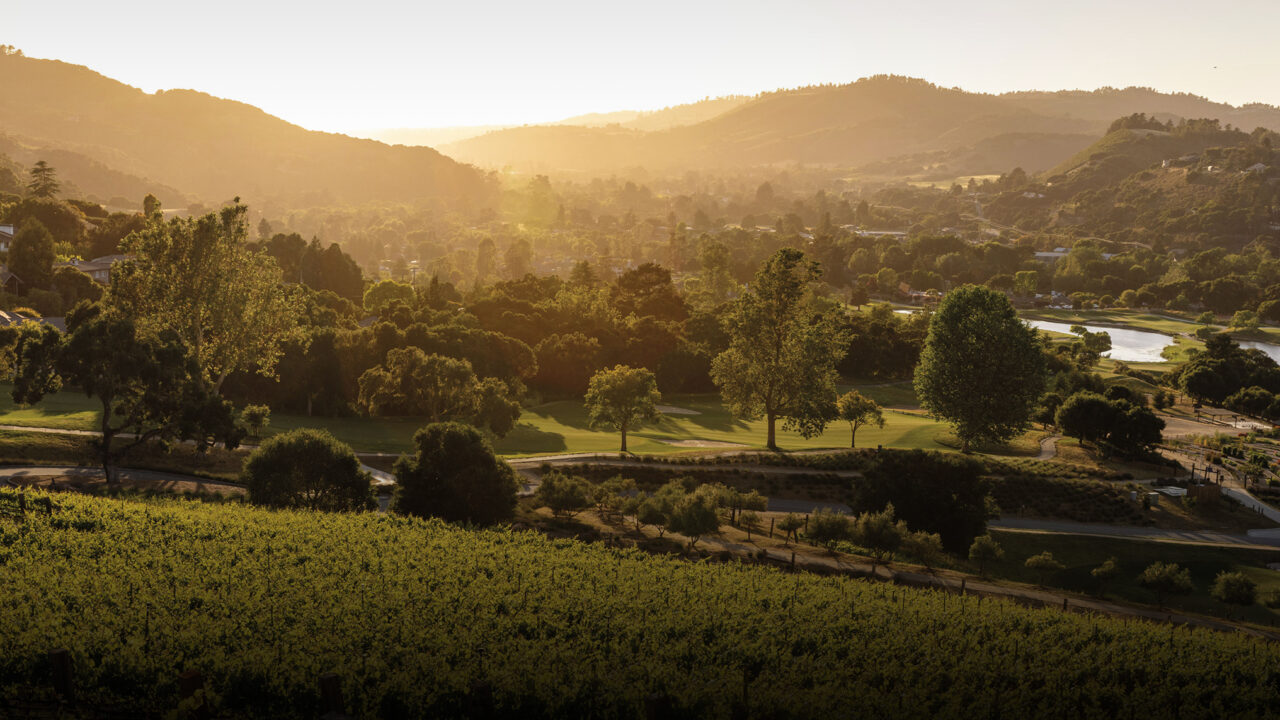 The Richest Rewards Are Made By Hand in Carmel Valley