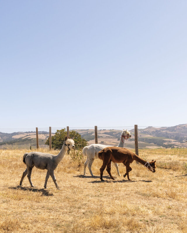 Carmel Valley Ranch