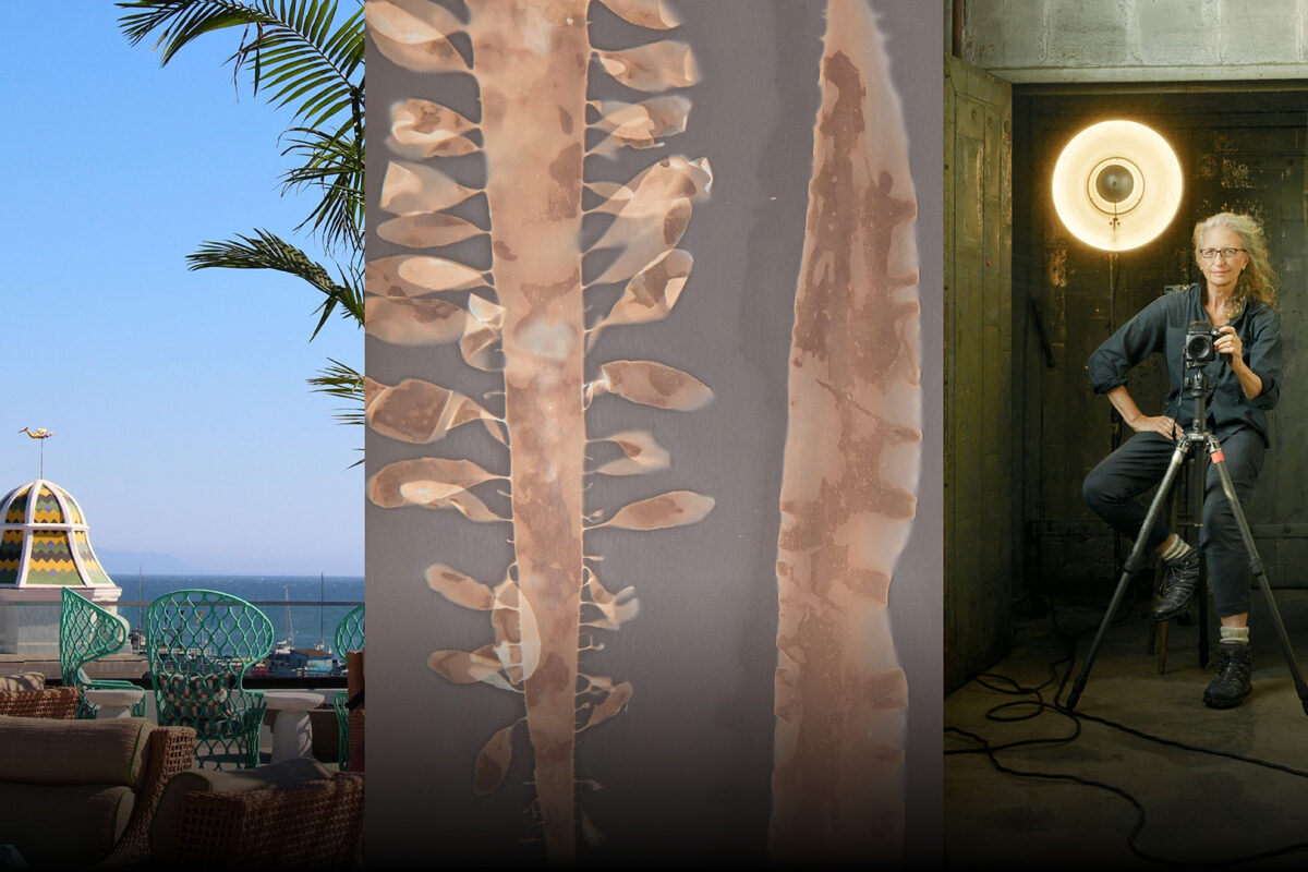 Top 5: The November 2025 California Hot List