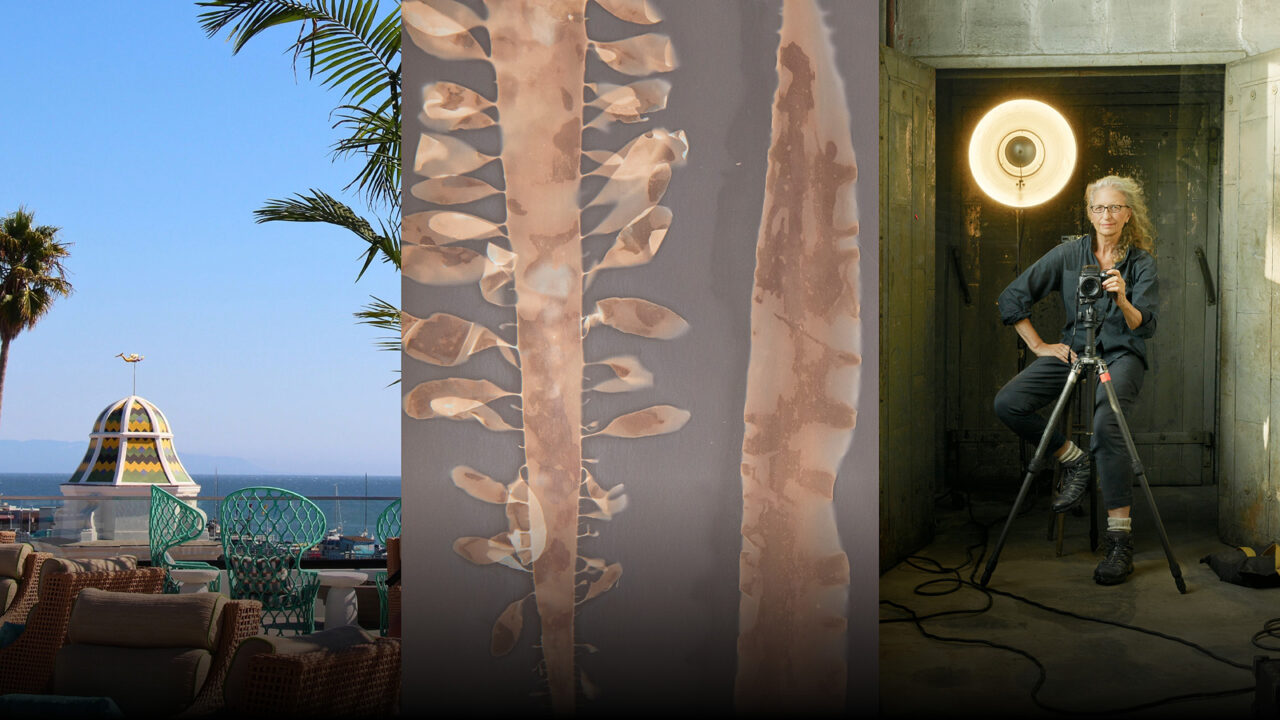 Top 5: The November 2025 California Hot List