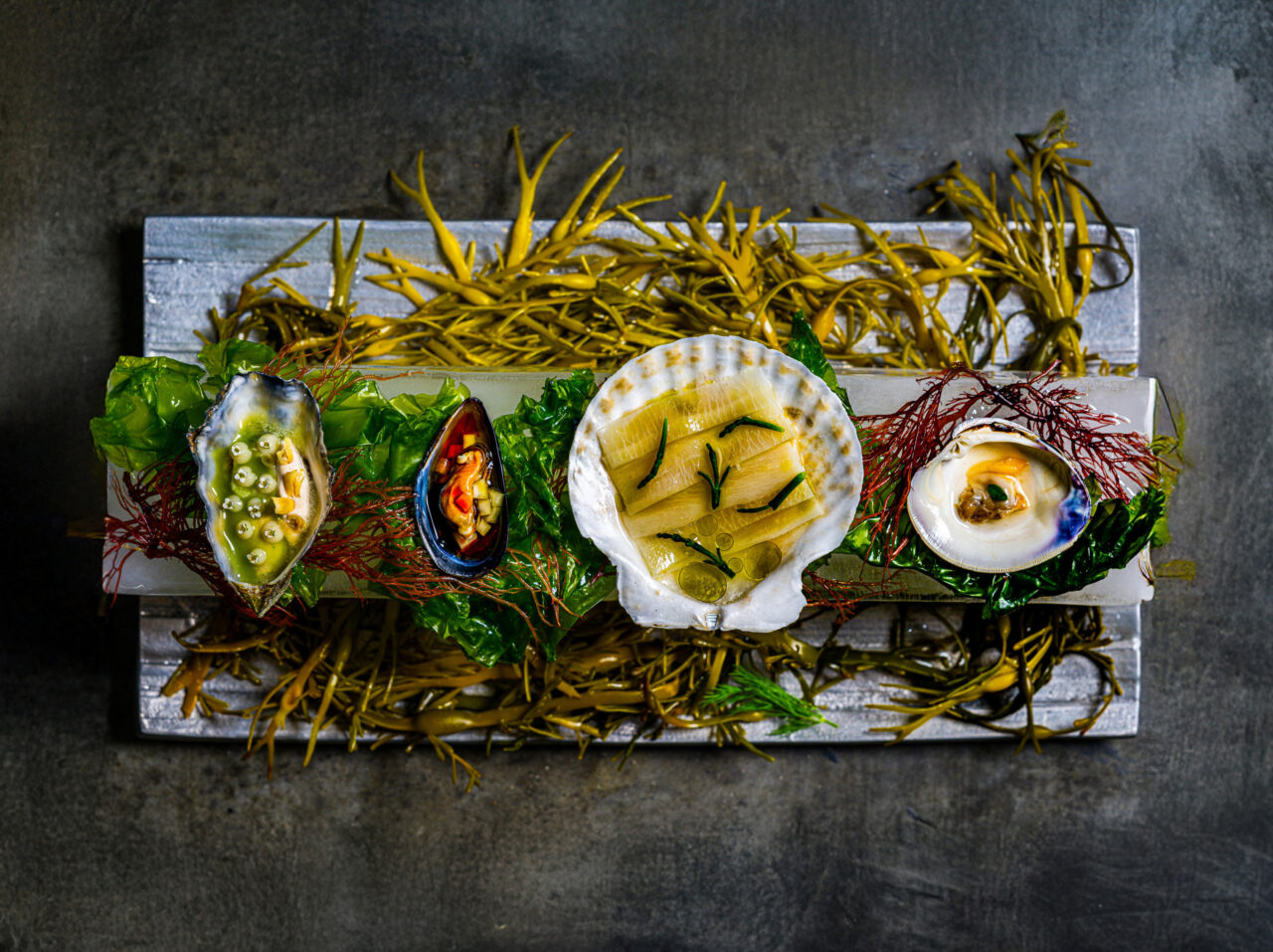 November Top5 Wolfsbane