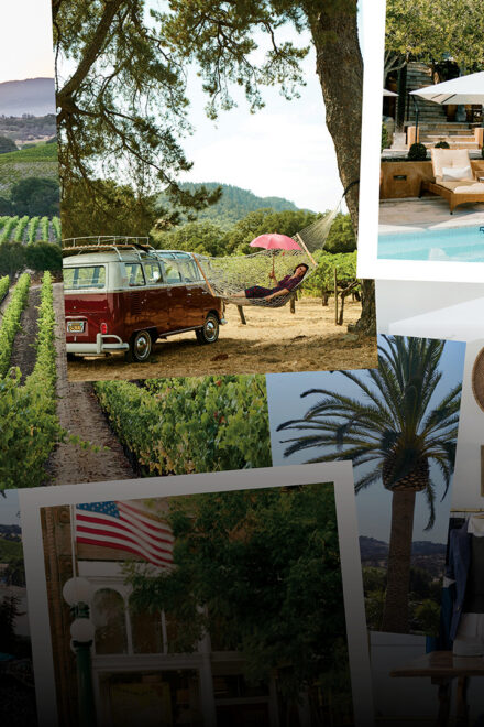 The Ultimate Insider’s Guide to Napa Valley