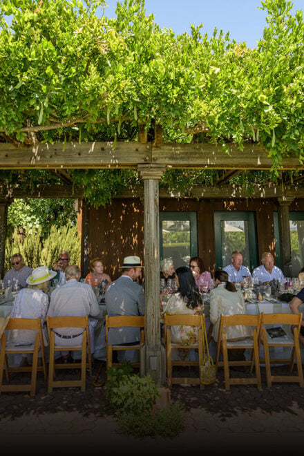 Festival Napa Valley’s 20th Anniversary Season Is a Feast for the Senses
