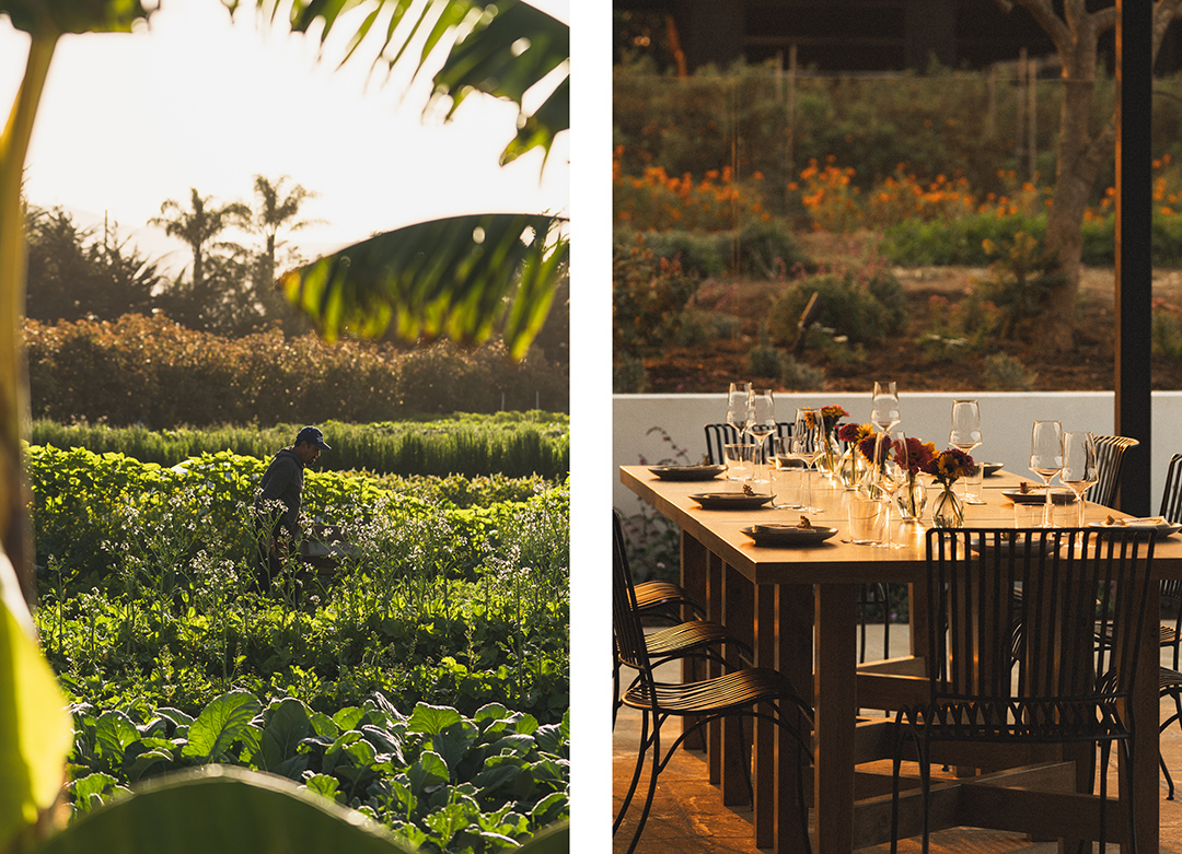 The hottest restaurants in May