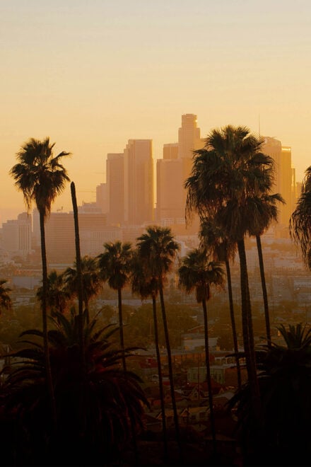 The Ultimate Insider’s Guide to Los Angeles