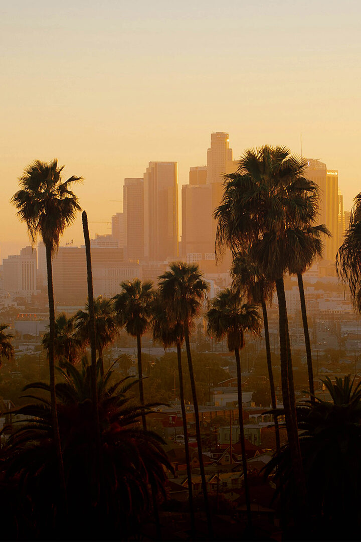 The Ultimate Insider’s Guide to Los Angeles