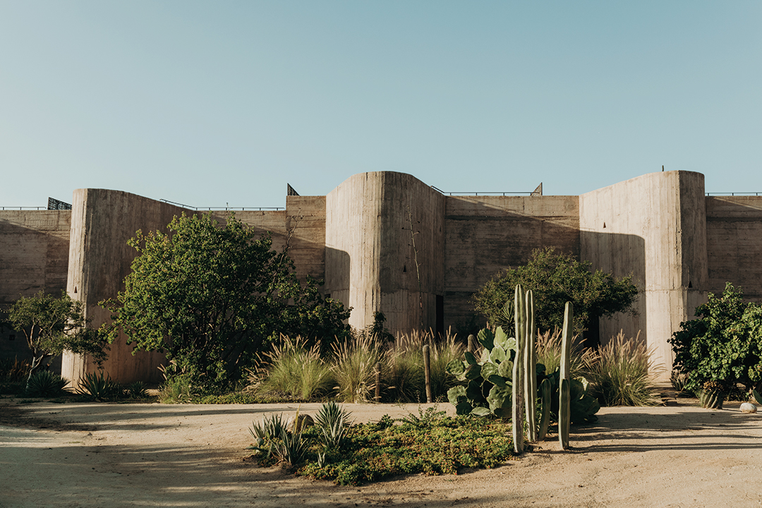 Barger and Riedy wedding in Todos Santos